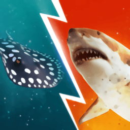 金沙7817登录地址2024最新版本下载-金沙7817登录地址模拟器中文版下载 v1.0.304 安卓版